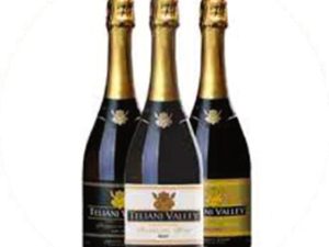 CHAMPAGNE